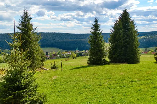 Czechia Avrupa 'daki Krusne azgın dağlarında inanılmaz güzel doğa.