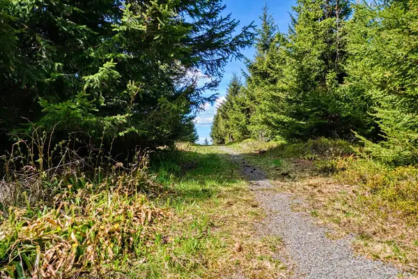 Czechia Avrupa 'daki Krusne azgın dağlarında inanılmaz güzel doğa.