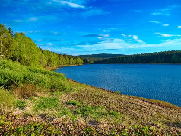 Czechia Avrupa 'daki Krusne azgın dağlarında inanılmaz güzel doğa.