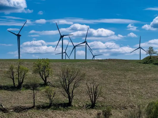 Czechia Avrupa 'daki Krusne azgın dağlarında inanılmaz güzel doğa.