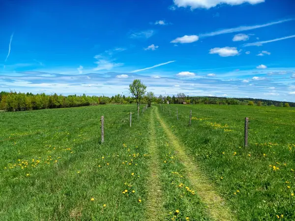Czechia Avrupa 'daki Krusne azgın dağlarında inanılmaz güzel doğa.