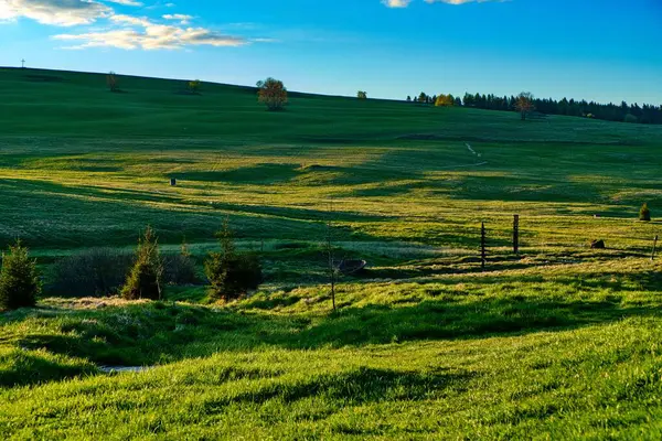 Czechia Avrupa 'daki Krusne azgın dağlarında inanılmaz güzel doğa.