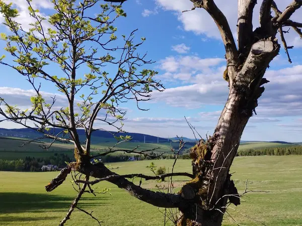 Czechia Avrupa 'daki Krusne azgın dağlarında inanılmaz güzel doğa.