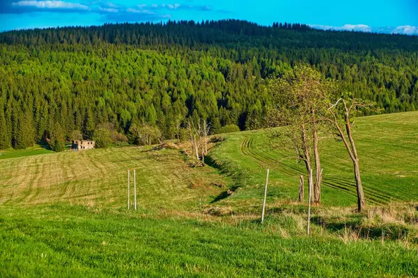 Czechia Avrupa 'daki Krusne azgın dağlarında inanılmaz güzel doğa.