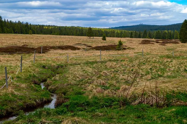 Czechia Avrupa 'daki Krusne azgın dağlarında inanılmaz güzel doğa.