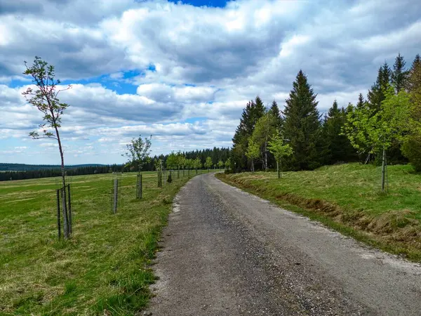 Czechia Avrupa 'daki Krusne azgın dağlarında inanılmaz güzel doğa.