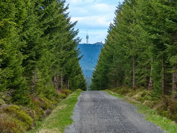 Czechia Avrupa 'daki Krusne azgın dağlarında inanılmaz güzel doğa.