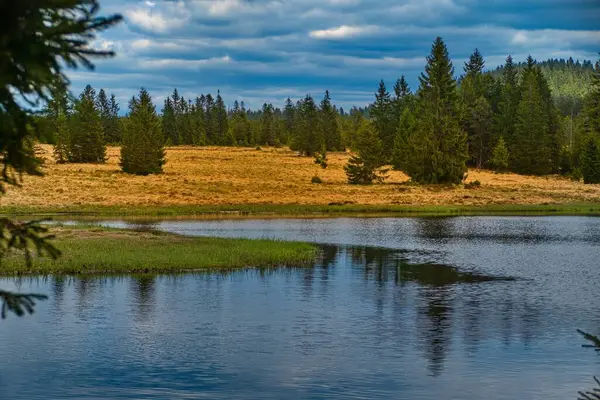 Czechia Avrupa 'daki Krusne azgın dağlarında inanılmaz güzel doğa.