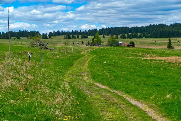 Czechia Avrupa 'daki Krusne azgın dağlarında inanılmaz güzel doğa.
