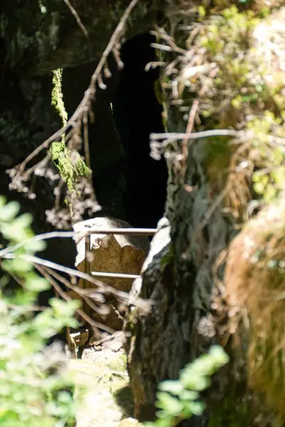 Czechia Avrupa 'daki Krusne azgın dağlarında inanılmaz güzel doğa.