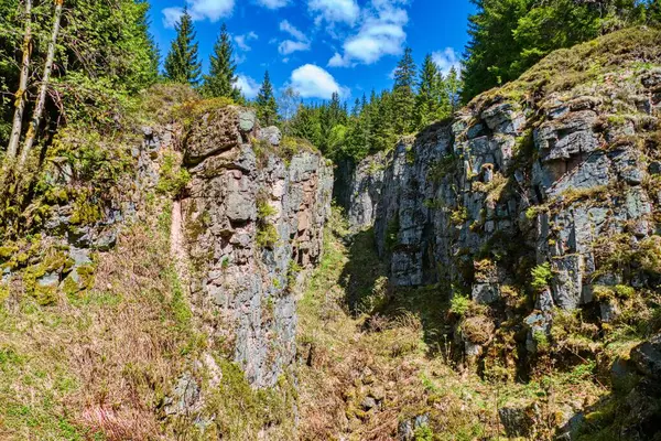 Czechia Avrupa 'daki Krusne azgın dağlarında inanılmaz güzel doğa.