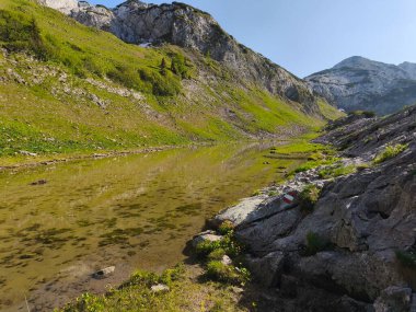 Gebirge Austria Alplerinde yaz yürüyüşü macerası