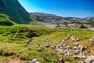 Gebirge Austria Alplerinde yaz yürüyüşü macerası