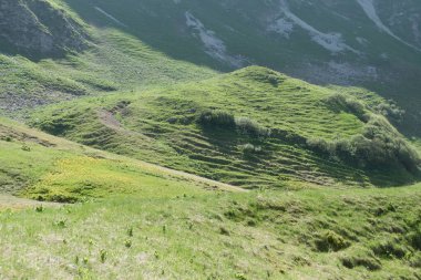 Gebirge Austria Alplerinde yaz yürüyüşü macerası