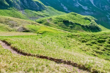 Gebirge Austria Alplerinde yaz yürüyüşü macerası