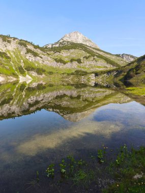 Gebirge Austria Alplerinde yaz yürüyüşü macerası