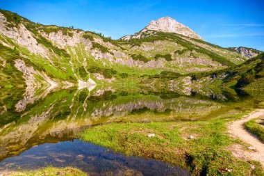 Gebirge Austria Alplerinde yaz yürüyüşü macerası