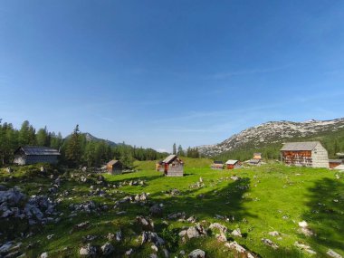 Gebirge Austria Alplerinde yaz yürüyüşü macerası