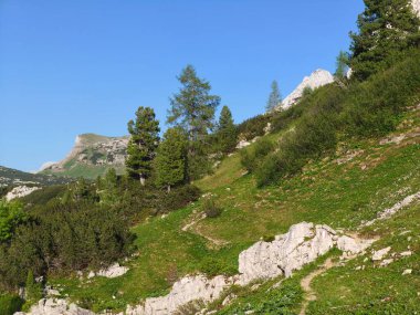Gebirge Austria Alplerinde yaz yürüyüşü macerası