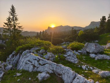 Gebirge Austria Alplerinde yaz yürüyüşü macerası
