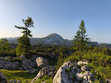 Gebirge Austria Alplerinde yaz yürüyüşü macerası