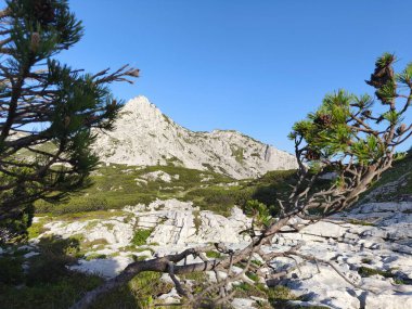 Gebirge Austria Alplerinde yaz yürüyüşü macerası