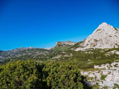 Gebirge Austria Alplerinde yaz yürüyüşü macerası