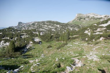 Gebirge Austria Alplerinde yaz yürüyüşü macerası