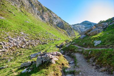 Gebirge Austria Alplerinde yaz yürüyüşü macerası