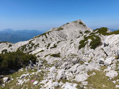Gebirge Austria Alplerinde yaz yürüyüşü macerası