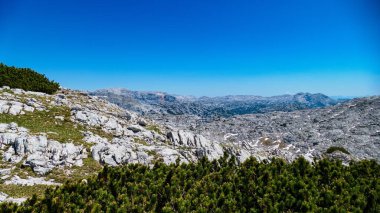 Gebirge Austria Alplerinde yaz yürüyüşü macerası