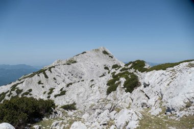 Gebirge Austria Alplerinde yaz yürüyüşü macerası