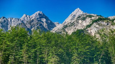 Gebirge Austria Alplerinde yaz yürüyüşü macerası