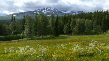 İskandinav dağlarının inanılmaz güzel doğası