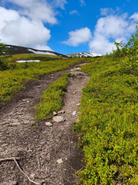 İnanılmaz güzel, İskandinav doğa manzarası.