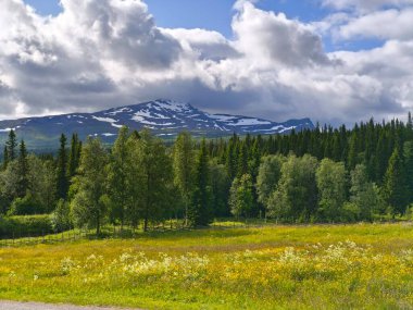 İnanılmaz güzel, İskandinav doğa manzarası.