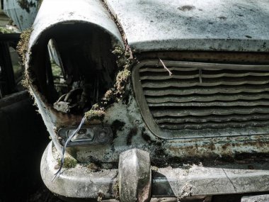 Norveç sınırındaki basbas fanous araba mezarlığı