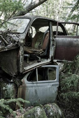 Norveç sınırındaki basbas fanous araba mezarlığı