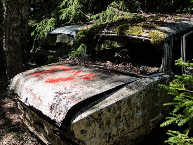 Norveç sınırındaki basbas fanous araba mezarlığı