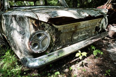 Norveç sınırındaki basbas fanous araba mezarlığı