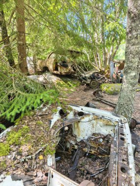 Norveç sınırındaki basbas fanous araba mezarlığı