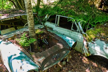 Norveç sınırındaki basbas fanous araba mezarlığı