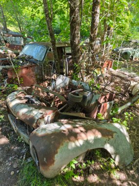 Norveç sınırındaki basbas fanous araba mezarlığı