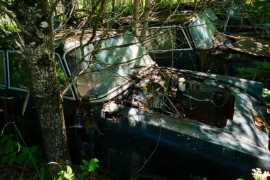 Norveç sınırındaki basbas fanous araba mezarlığı