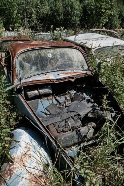 Norveç sınırındaki basbas fanous araba mezarlığı