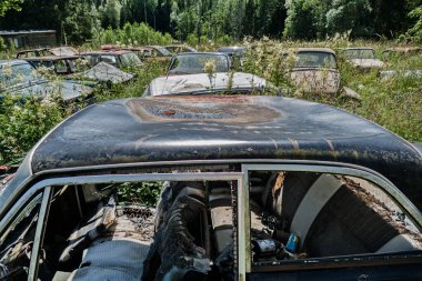 Norveç sınırındaki basbas fanous araba mezarlığı