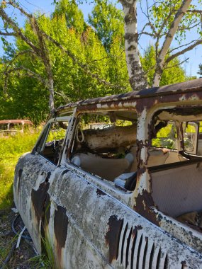 Norveç sınırındaki basbas fanous araba mezarlığı