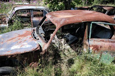 Norveç sınırındaki basbas fanous araba mezarlığı