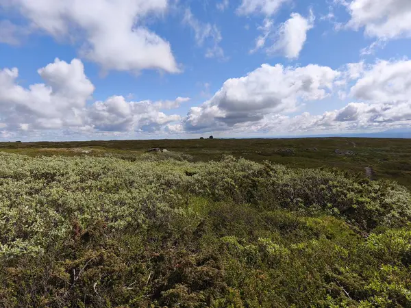 İnanılmaz güzel, İskandinav doğa manzarası.