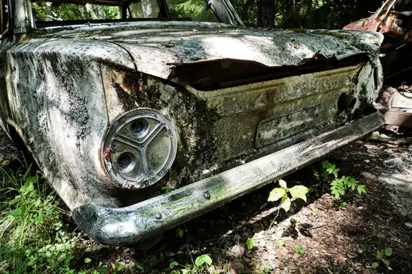 Norveç sınırındaki basbas fanous araba mezarlığı